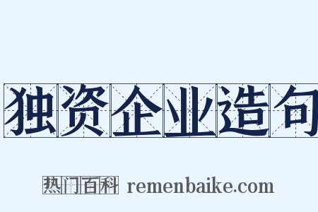 独资企业造句是什么意思的图片
